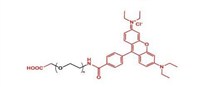 罗丹明聚乙二醇羧基 Rhodamine-PEG-COOH